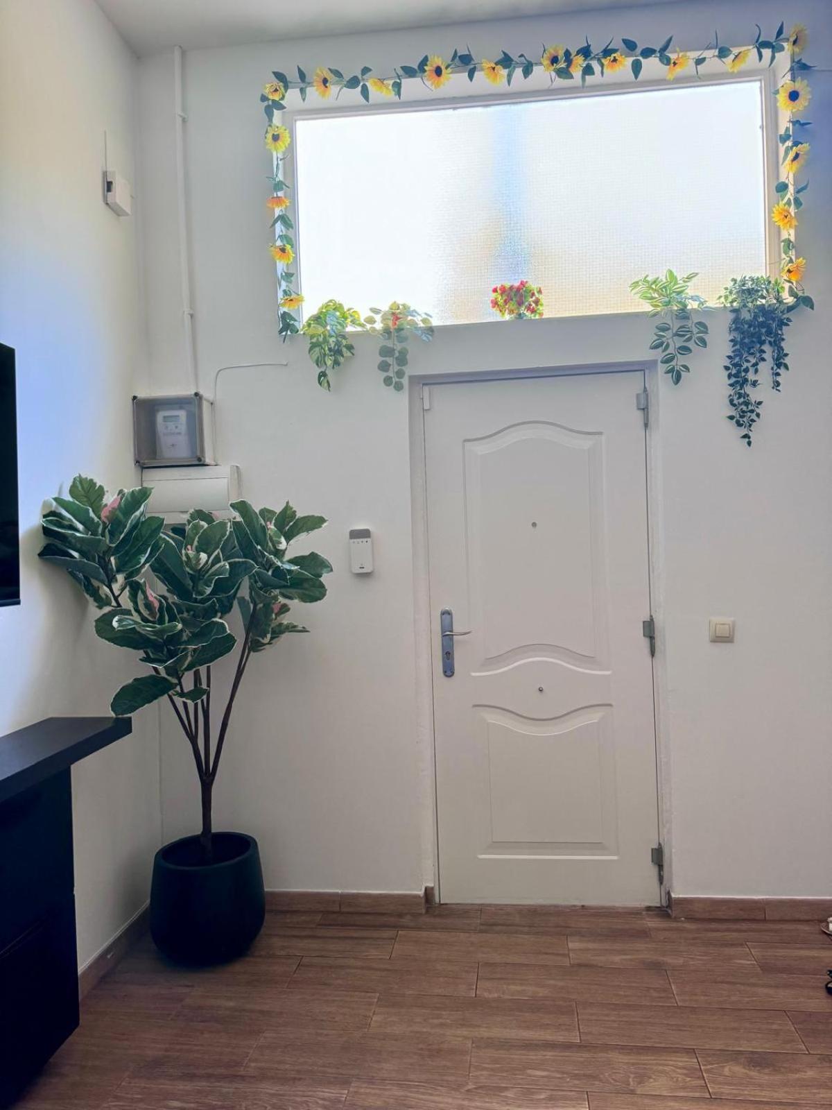 Pamis Apartament Sants, Барселона Экстерьер фото