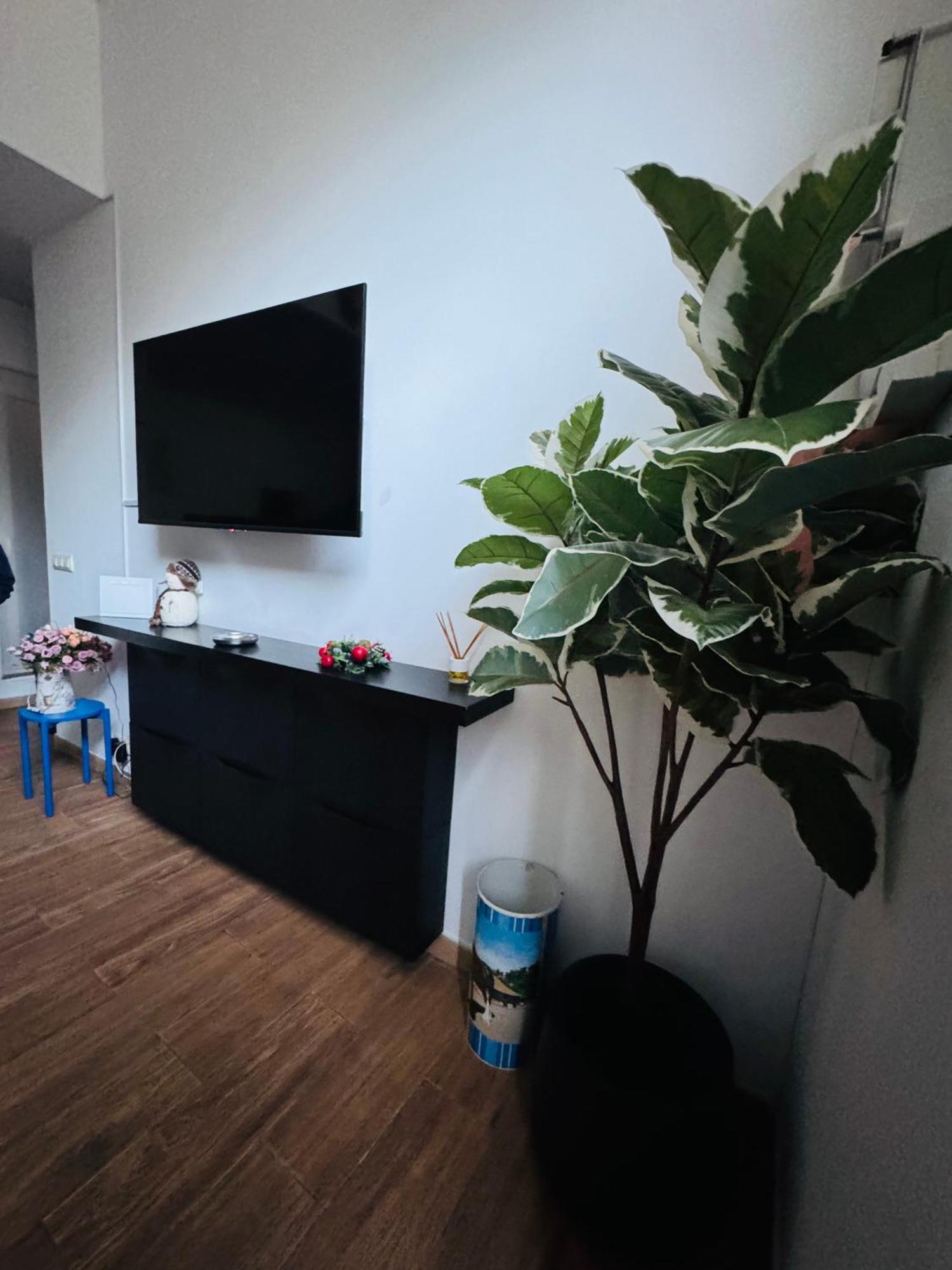 Pamis Apartament Sants, Барселона Экстерьер фото